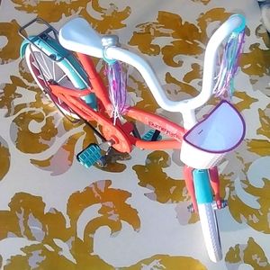 Journey Girls Bike